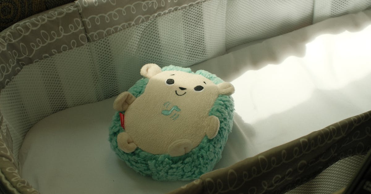 The Ultimate Guide to Non-Toxic Toys: Creating a Safe Haven for Play